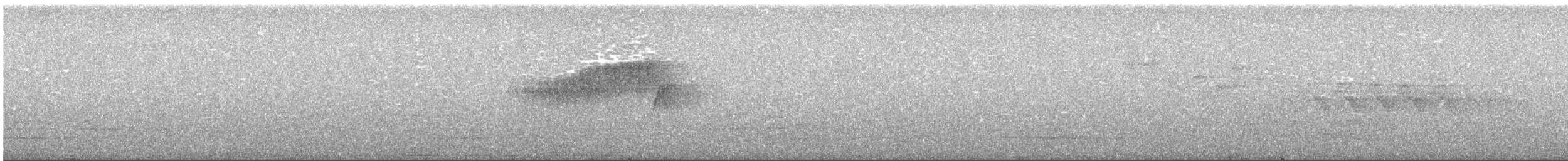 Northern Parula - ML357339681
