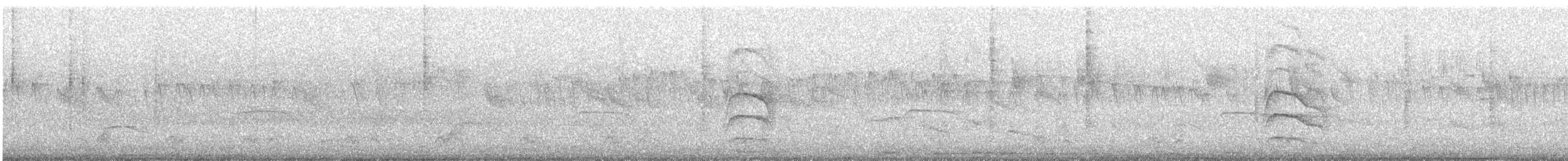 シロボシムジアマツバメ - ML357375201