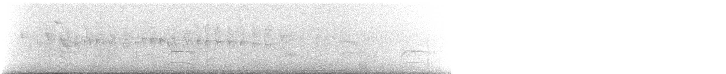 シロボシムジアマツバメ - ML357375471