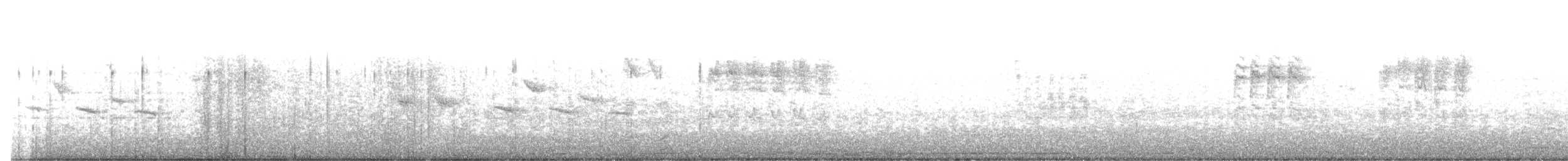 野鴿(野化) - ML357430101