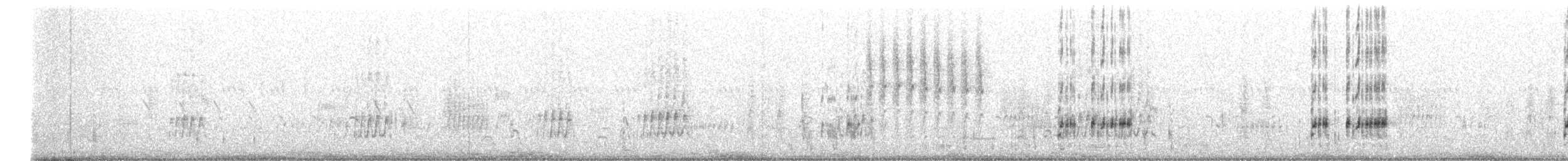 Clark's Grebe - ML357464651