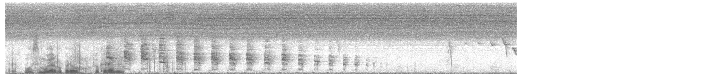 Klapperralle [pallidus-Gruppe] - ML357517211