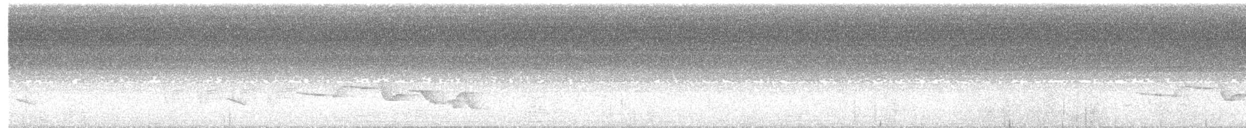 Spot-breasted Wren - ML357517841