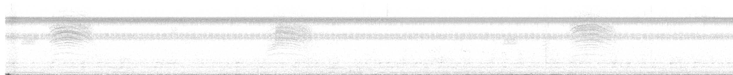 leskot yukatanský - ML357617921