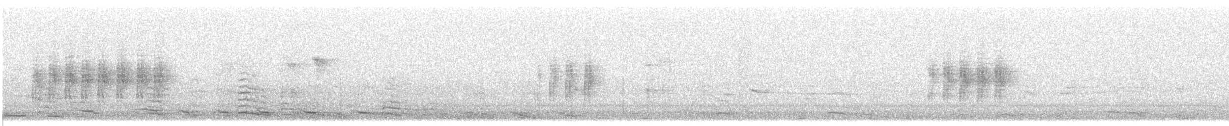 Sardinian Warbler - ML357636021