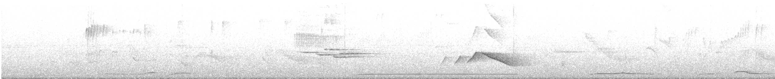 holub východní - ML357749041