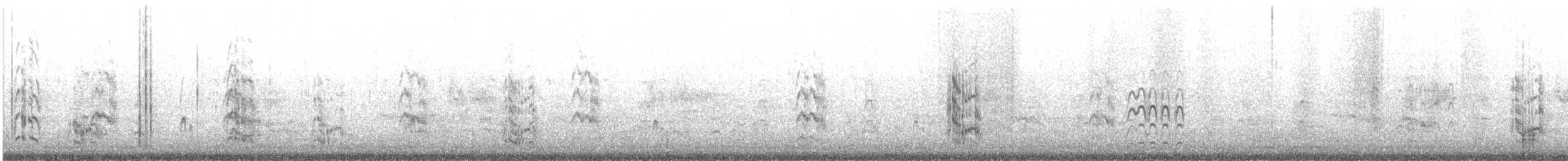 Lesser Crested Tern - ML357754551