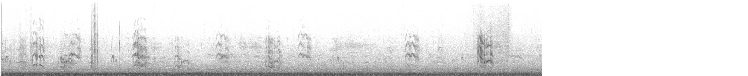 Lesser Crested Tern - ML357754561