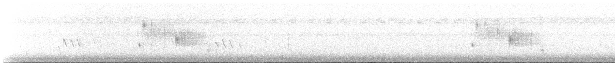 Канадская овсянка-барсучок (subvirgata) - ML357862281