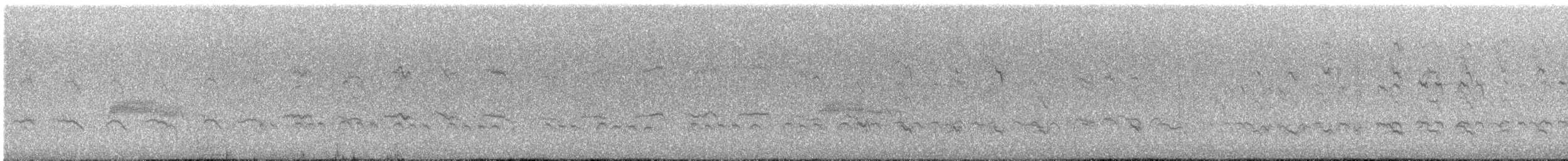 Дятел-смоктун білочеревий - ML357968431