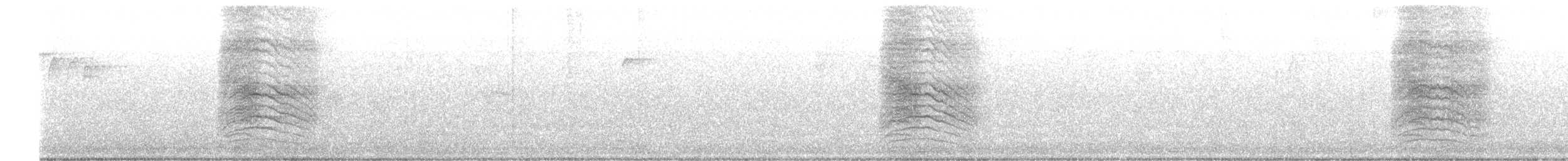 Пересмішник сірий - ML358004521