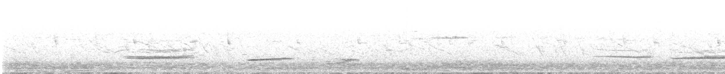 Ocellated Quail - ML358022381