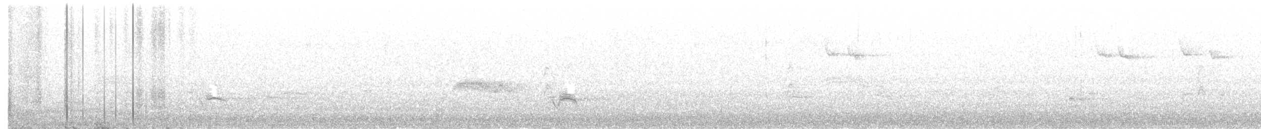 Western Wood-Pewee - ML358070461