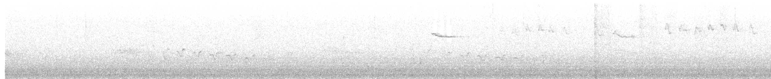 Canyon Wren - ML358070481