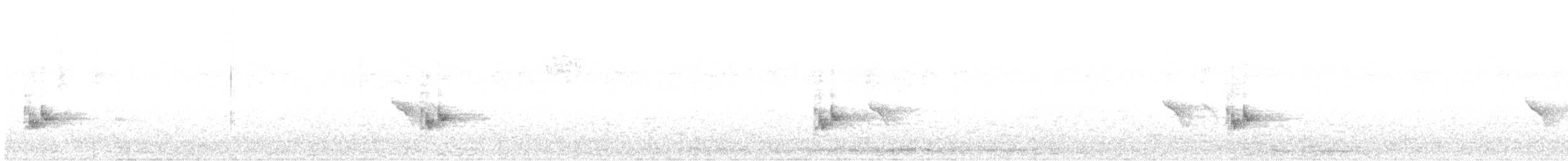 Піранга жовтогуза - ML358088741