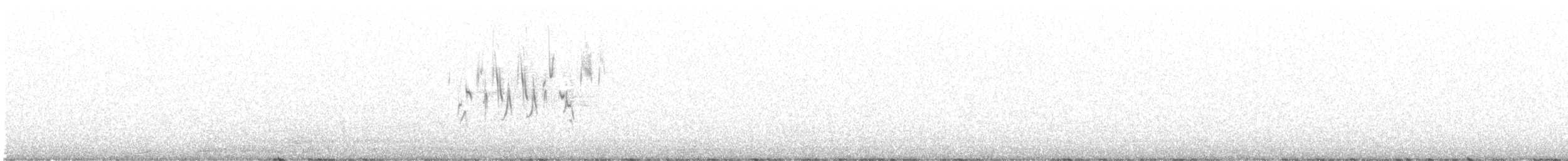 Rostscheitelammer - ML358160241