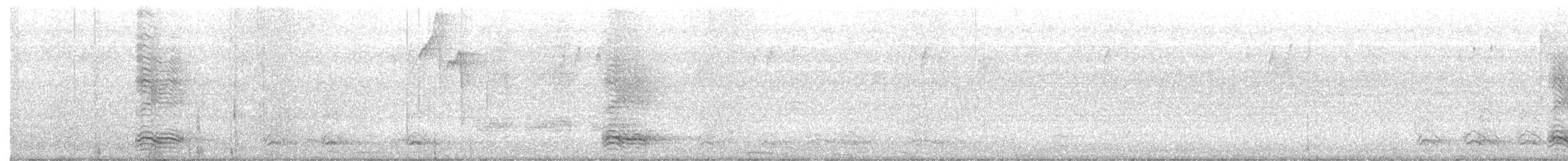 Cuervo Pescador - ML358175801
