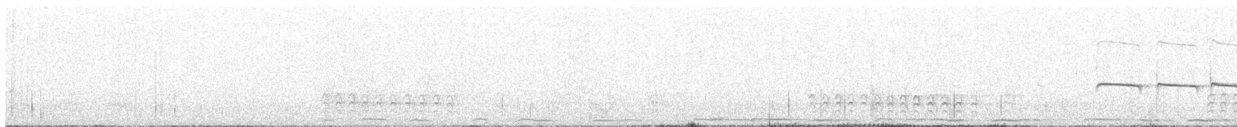 Тиранчик-тонкодзьоб північний - ML358194061