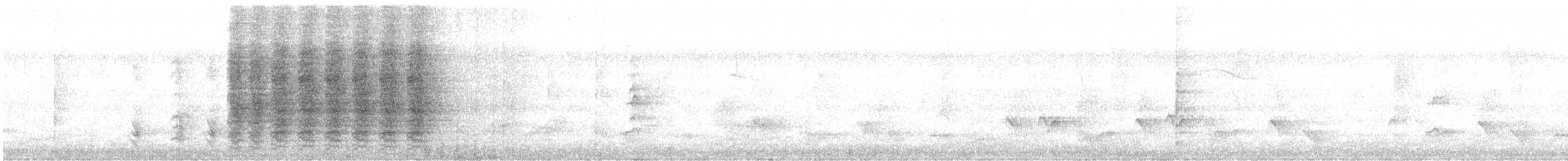 Spangled Drongo - ML358197471