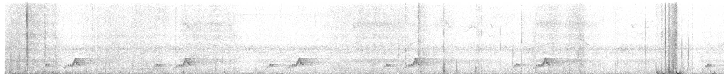 Mexikonachtschwalbe - ML358198211