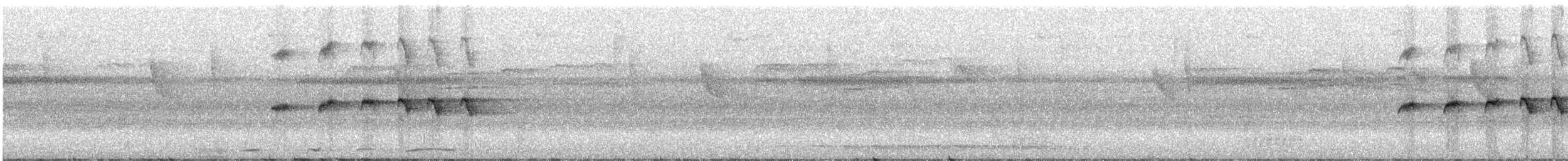 Boz Kanatlı Karıncakuşu - ML358237351