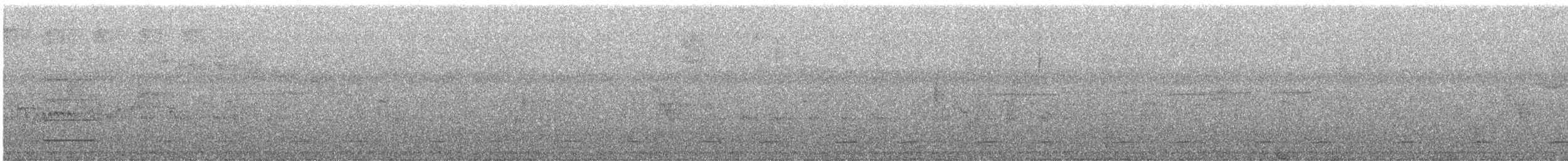Nebelzwergkauz - ML358243541