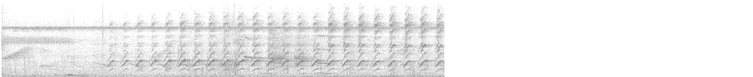 Lineated Woodpecker (Lineated) - ML358247461