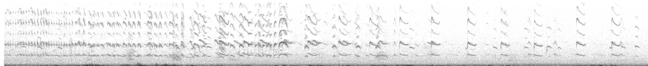 Chorlitejo Culirrojo - ML358305521