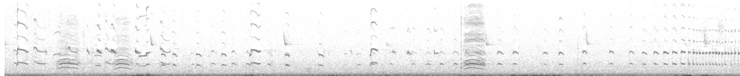 Kildir txirritxoa - ML358307201