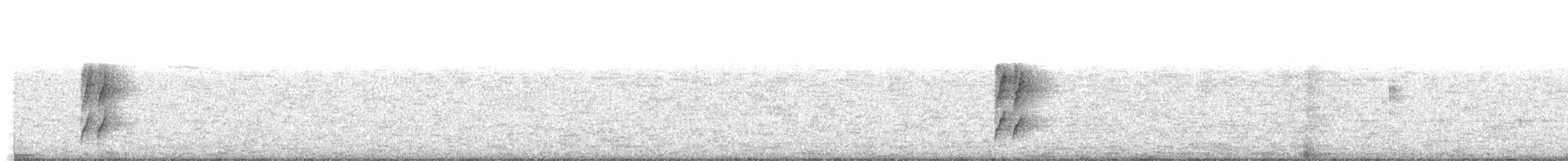 Лопатодзьоб білогорлий - ML358316861