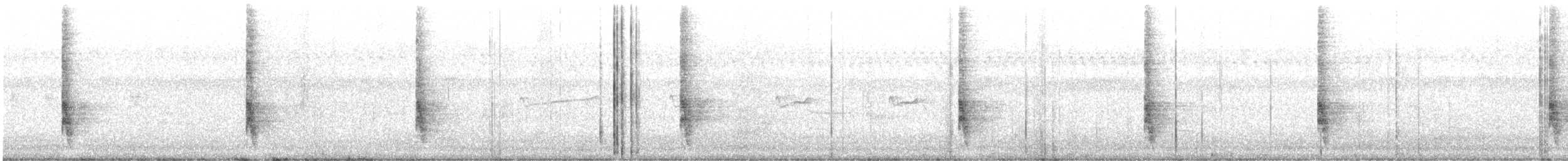Northern Mockingbird - ML358319901