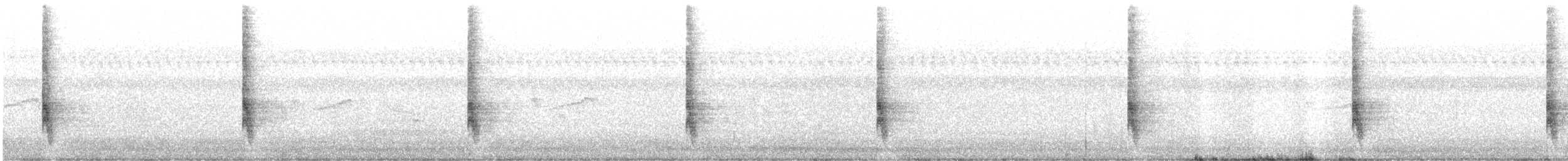 Northern Mockingbird - ML358320231