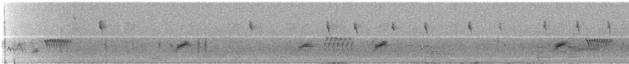 Yellow Warbler (Northern) - ML358378961