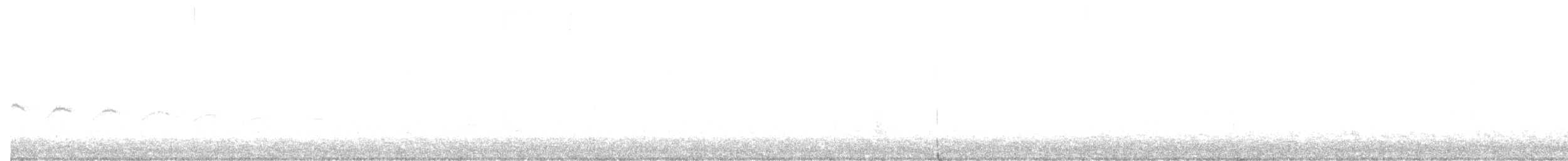 Каньонный крапивник - ML358411171