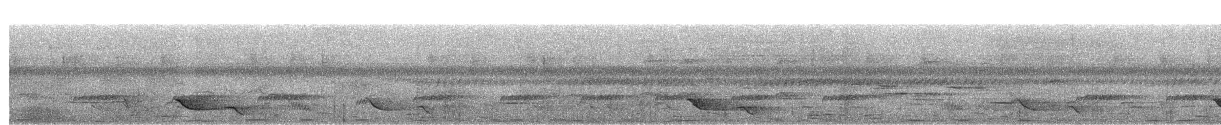 Чернокрылая иволга - ML358466161