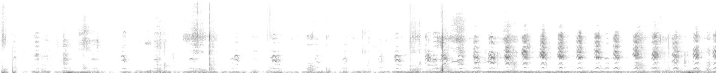 クビワコガモ - ML358508821