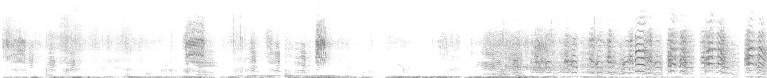 Ibis à face blanche - ML358509121