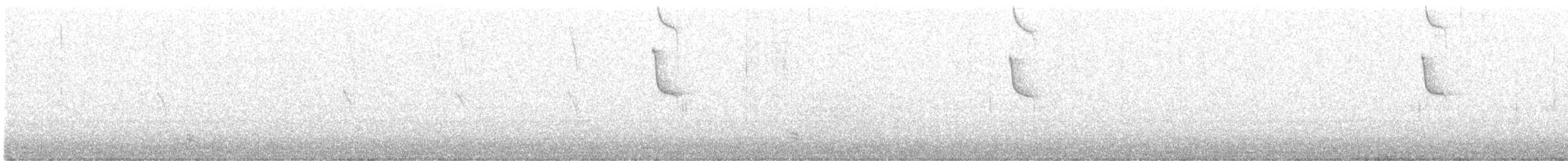 Колібрі-янгол синьогрудий - ML358515091