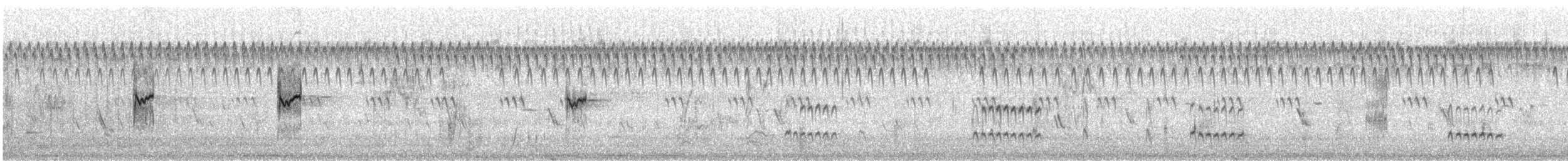 Wiesenstrandläufer - ML358547491