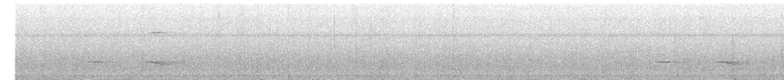 Kestane Sırtlı Karıncakuşu (maculifer/cassini) - ML358557871