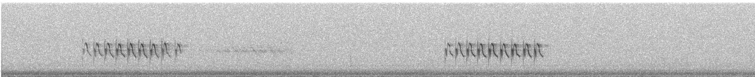 Юнко сірий [група oreganus] - ML358590881