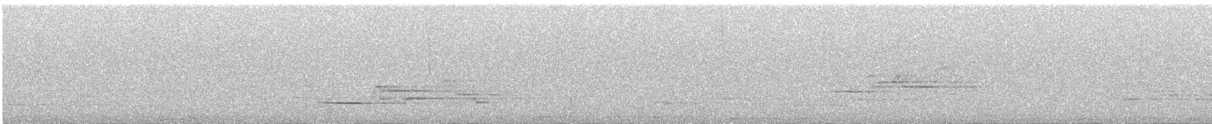Дрізд-короткодзьоб плямистоволий - ML358696681