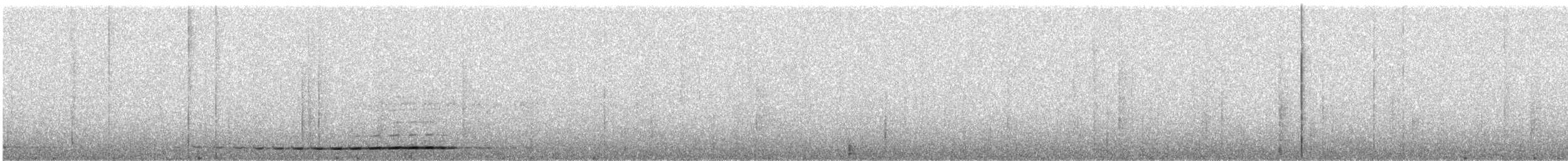 Grallaire à nuque grise - ML358784301
