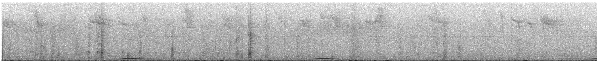 holub parukový - ML358785441