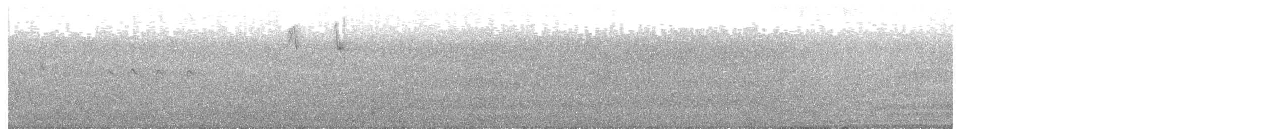 Шпак-куцохвіст рудочеревий - ML358804441