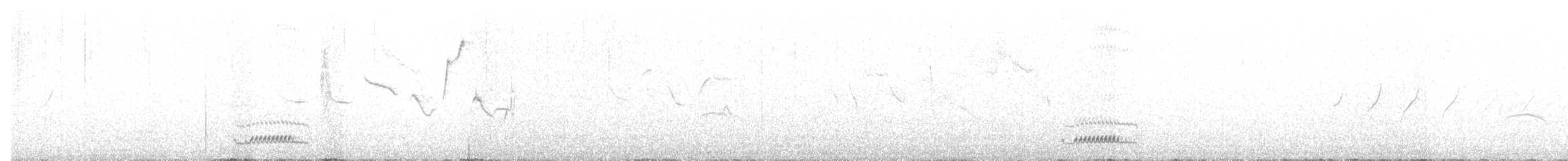 Дроздовая кукушка - ML358861301