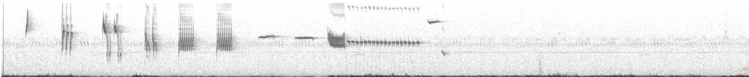 Botteri's Sparrow - ML358869411