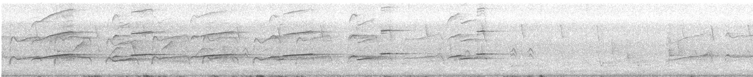 Fischadler (cristatus) - ML358875611