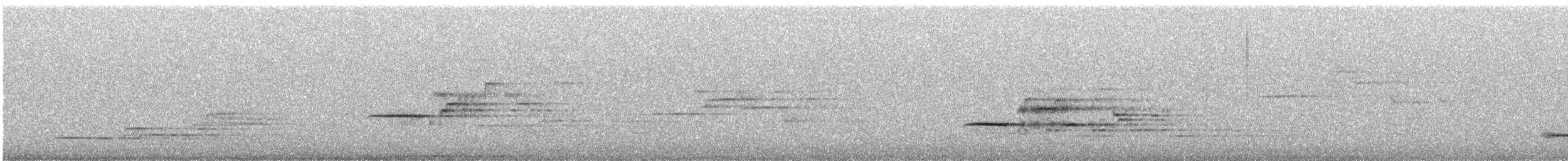 Дрізд-короткодзьоб плямистоволий - ML358966181