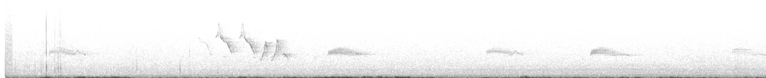 Western Wood-Pewee - ML358969731